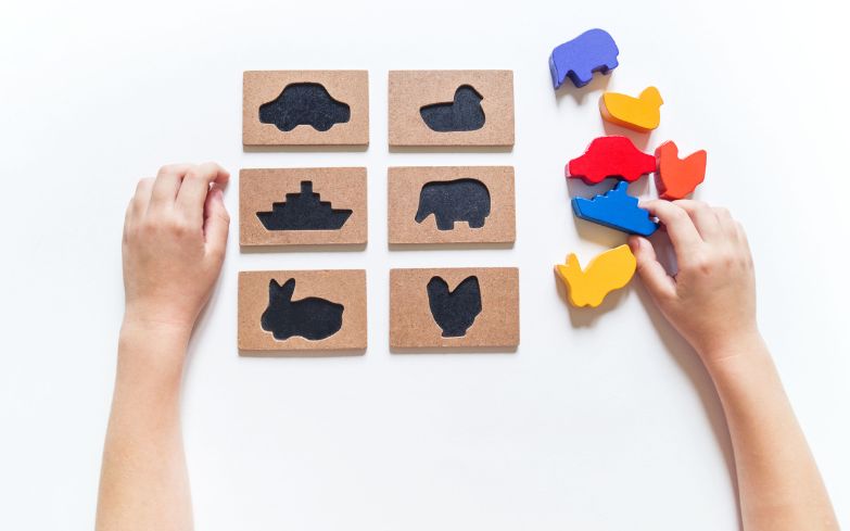 ד"ר איריס שביט על חשיבה צורנית